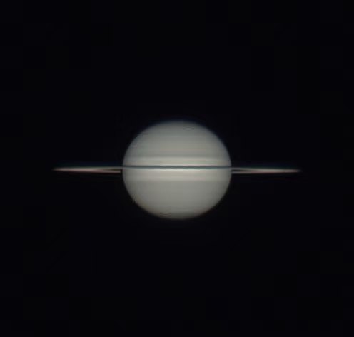 星澜 StarWave-NT 12寸牛反客户返图 4