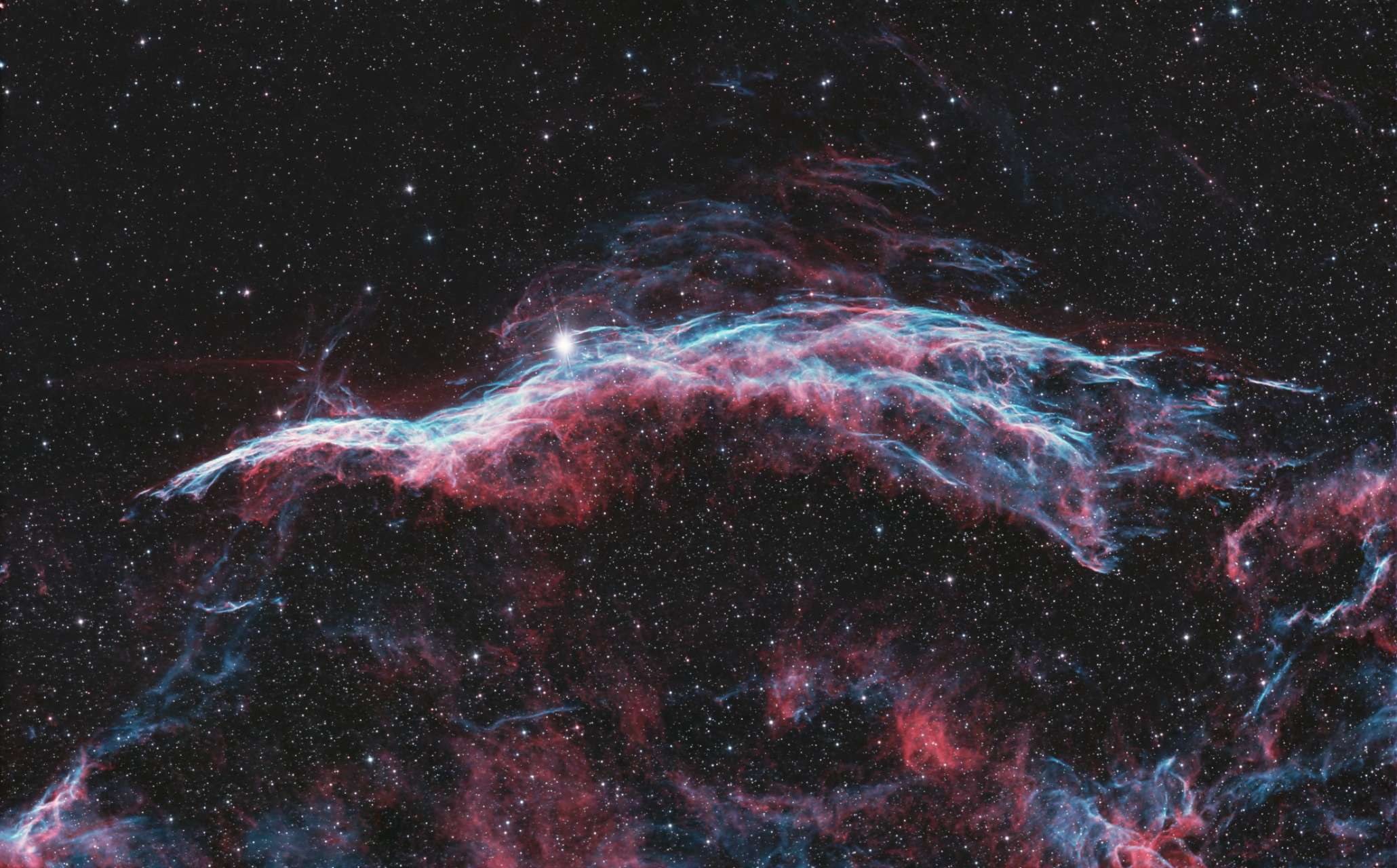 星澜 StarWave-NT 8寸牛反客户返图 8